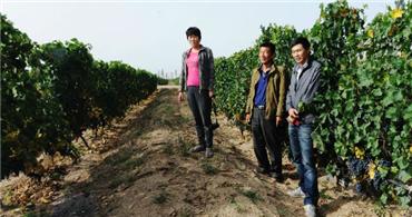 贺兰山东麓站-玉泉营示范基地
