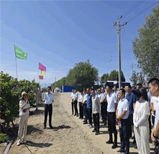 北疆综合试验站受邀参加兵团第五师葡萄夏季管理现场会