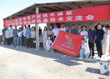 北疆综合试验站召开葡萄新品种品鉴技术交流会