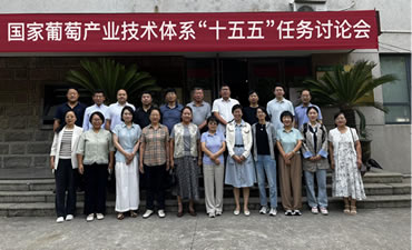 十五五栽培与土肥研究室任务讨论