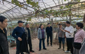 生产管理机械化岗位与福州综合试验站共同探讨智慧设施葡萄园技术的实施