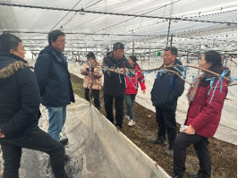 生产管理机械化岗位到南京与鲜食葡萄栽培岗位南京综合试验站沟通交流智慧葡萄园技术与装备方案