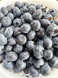 蓝莓上的这层白霜，不用刻意洗掉！